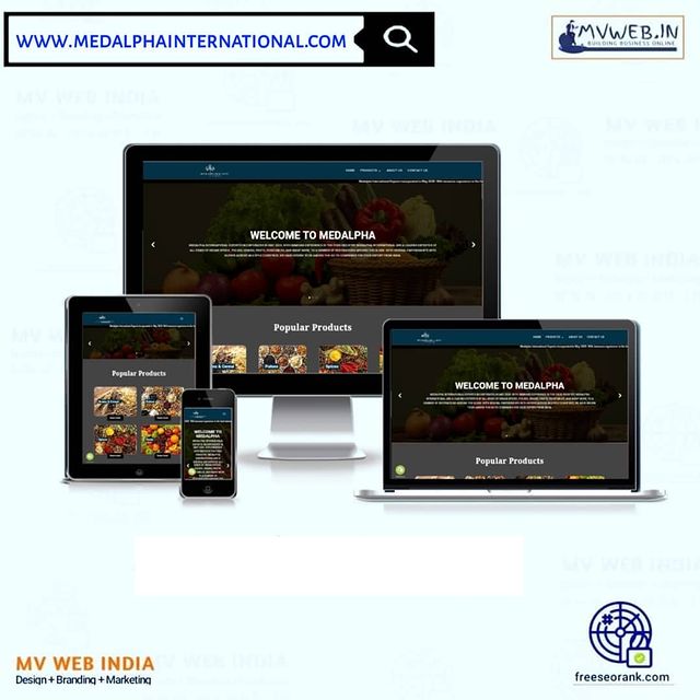 medalphainternational.com